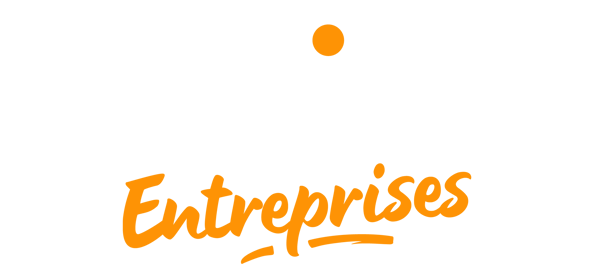 DSTNY_ENTREPRISES_LOGO_WHITEORANGE