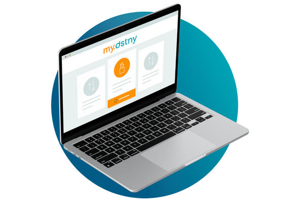 vignette_mydstny