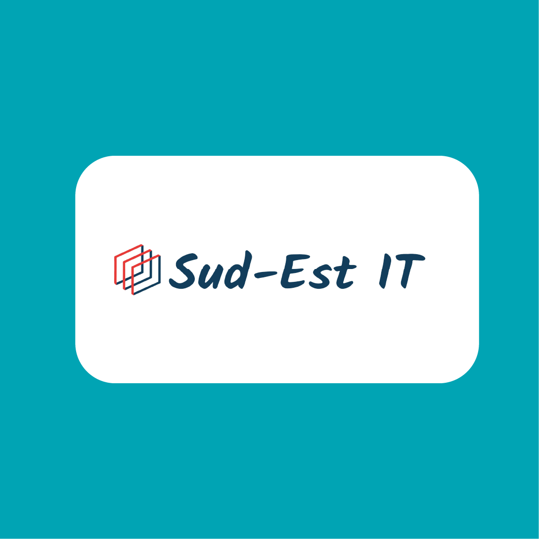 Témoignage partenaire : Sud-Est-IT